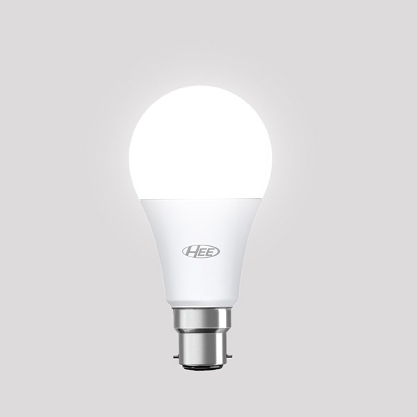 Bulb & Light